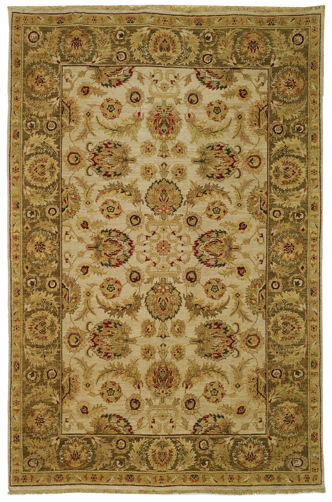 Old World Palmette Bordered Wool Rug