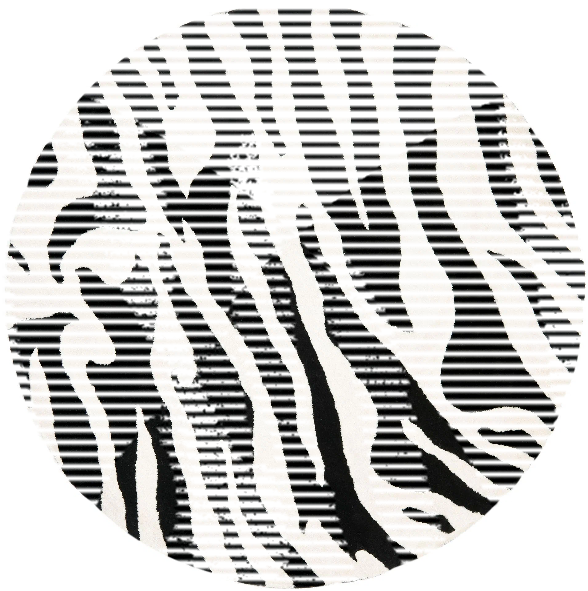 Soho Zebra Stripe Hand-Tufted Wool Rug