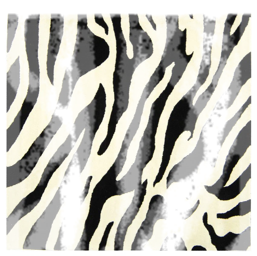 Soho Zebra Stripe Hand-Tufted Wool Rug