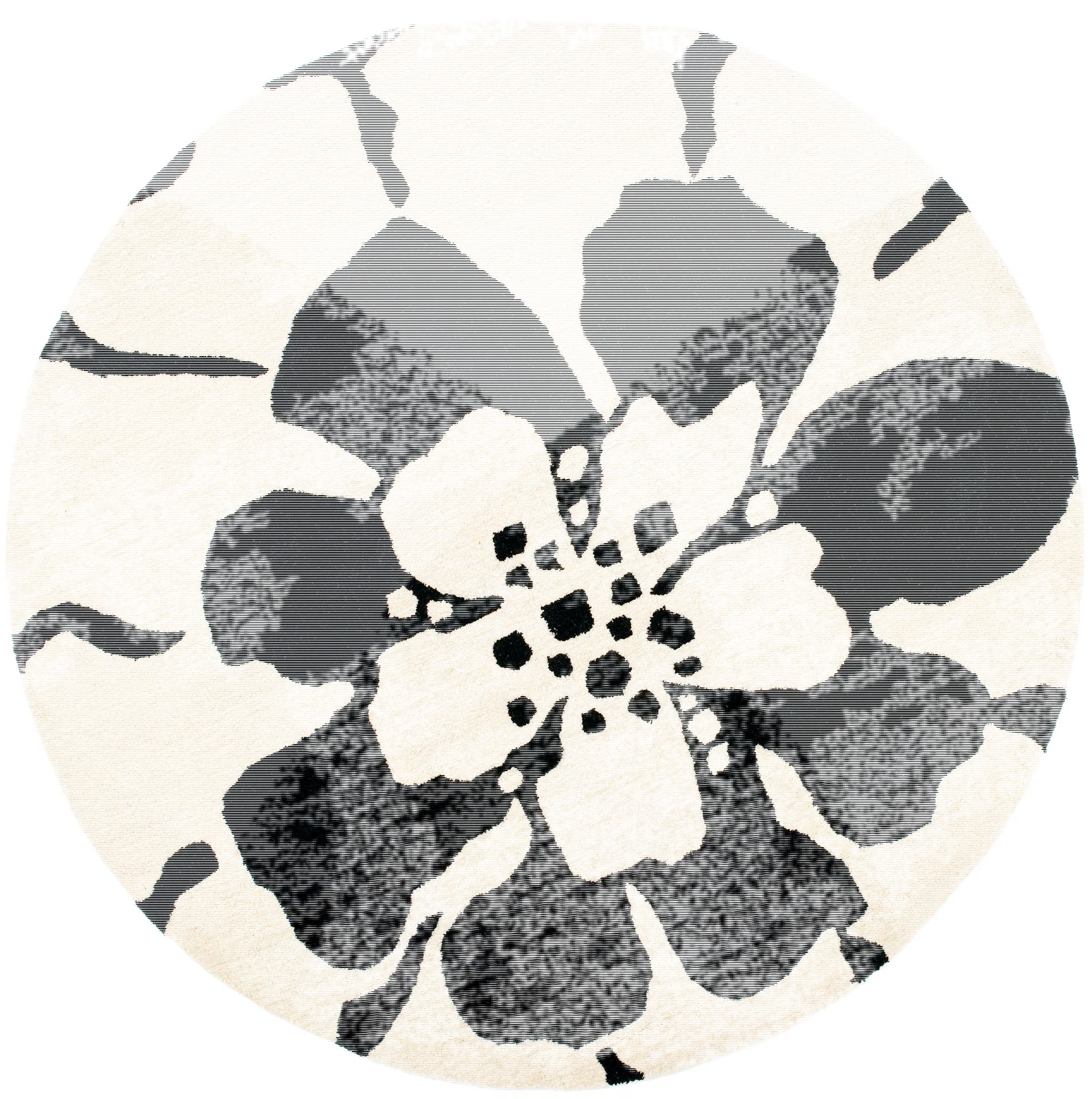 Soho Single Bloom Hand-Tufted Rug