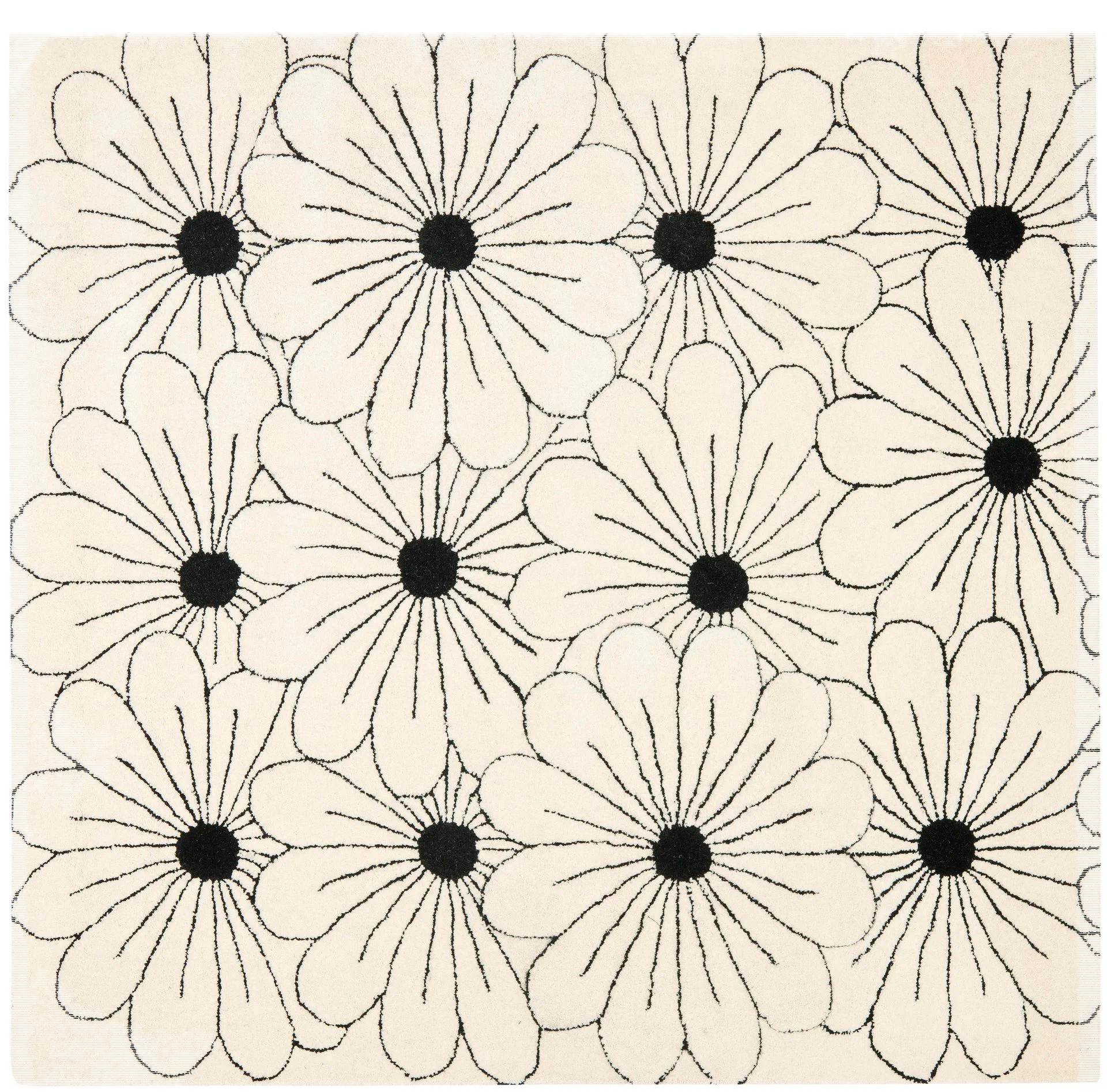 Ivory / Black
